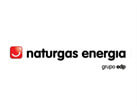 Naturgás energía